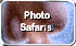 See Photo Safari Images